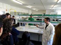 Laboratorio integrado de química